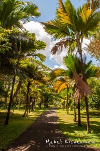 Sir Seewoosagur Ramgoolam Botanical Garden on Mauritius